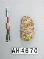 藏品(小砝碼型石網墜)的圖片